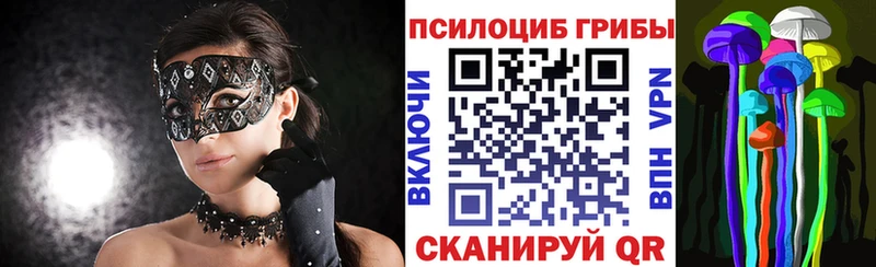 Псилоцибиновые грибы Cubensis  hydra как войти  Сунжа 